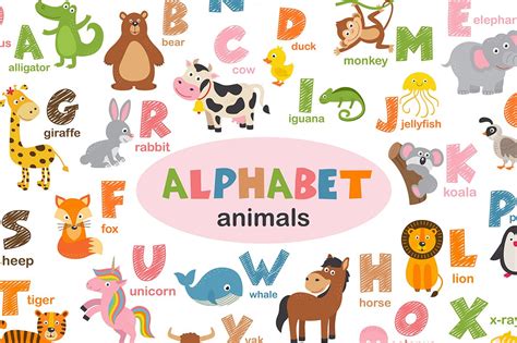 Play online alphabet games and videos, & download printable coloring pages. alphabet with animals | Custom-Designed Illustrations ~ Creative Market
