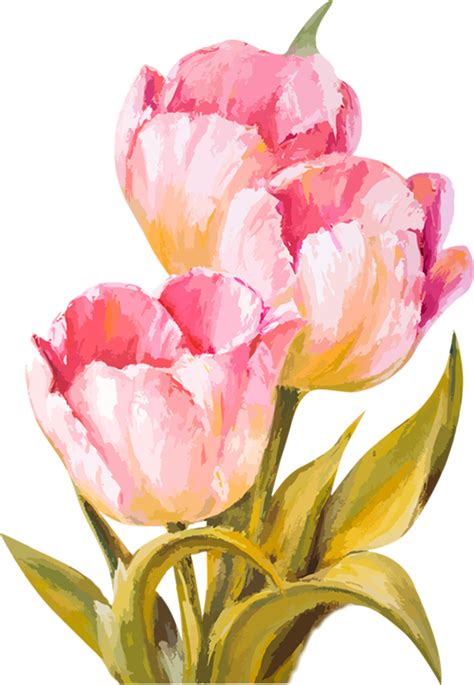 Watercolor Flowers Watercolor Tulips Flower Art Painting