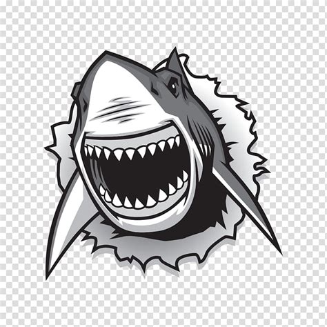 Free Download Shark Fish Lamnidae Jaw Great White Shark Lamniformes Mouth Cartoon