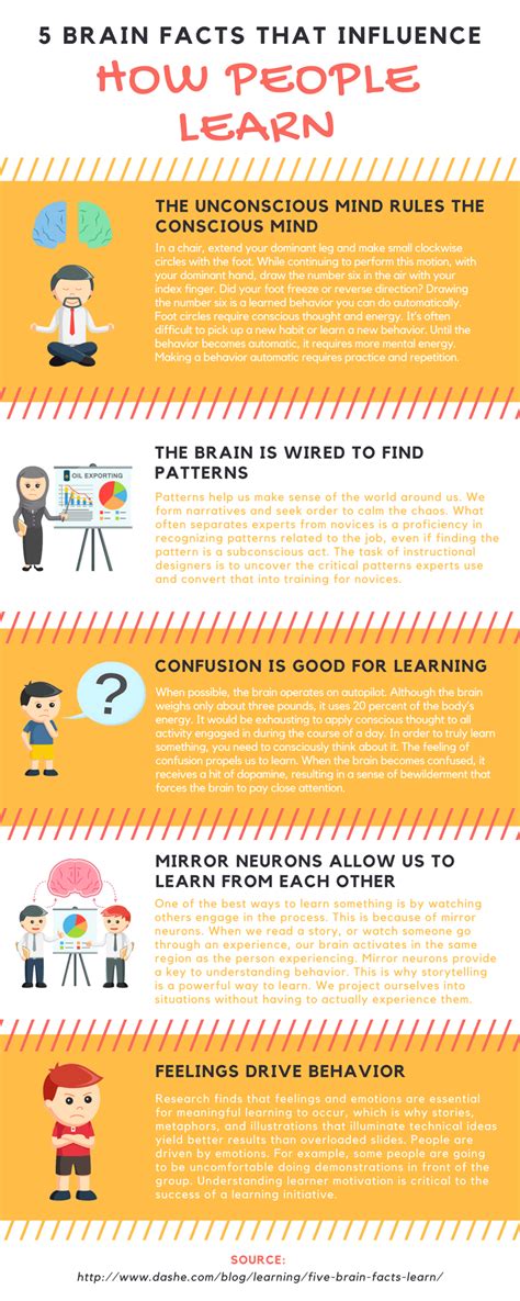 5 Brain Facts That Influence How People Learn Infographic E Learning