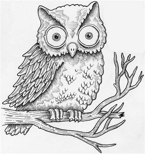 How To Draw A Realistic Owl Cartoon Step By Step Easy For Beginners