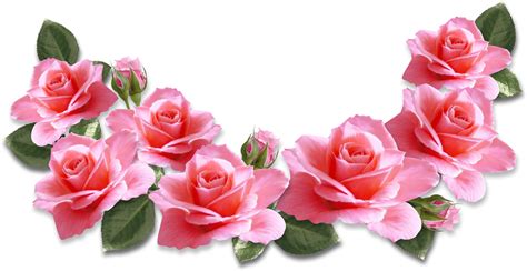 Pink Tea Rose Png Png Image Collection
