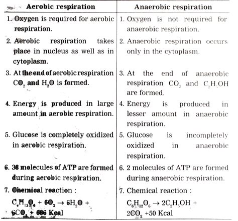 Write The Difference Between Aerobic And Anaerobic Respiration Zohal