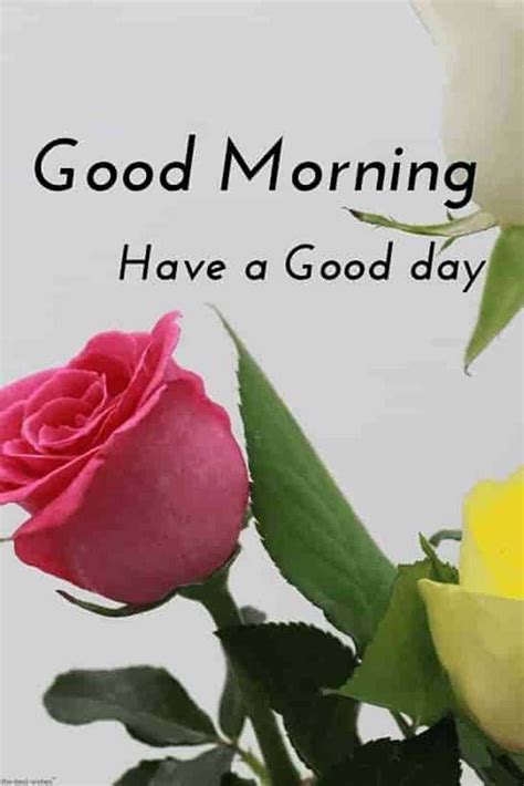 Here are 45 best good morning greetings images with quotes. 35 Inspirational Good Morning Quotes with Beautiful Images ...