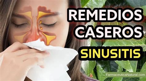 Remedios Caseros Para La Sinusitis Alivio Natural Para Tus Síntomas