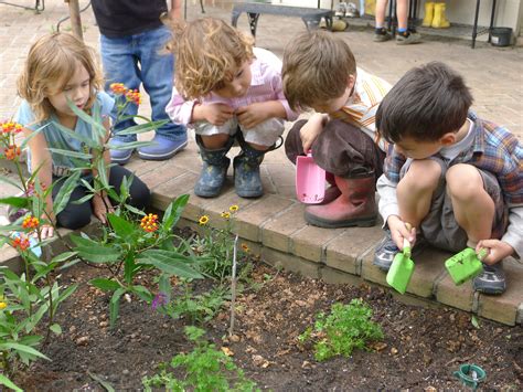 12 Easiest Plants For Kids To Grow Bees And Roses