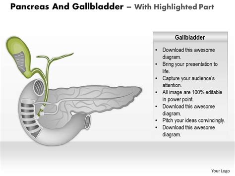 Pancreas And Gallbladder Medical Images For Powerpoint Templates Powerpoint Slides Ppt