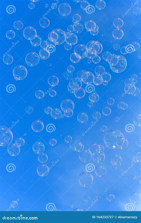 Soap Bubbles Against Blurred Blue Sky Background Stock Image Image Of