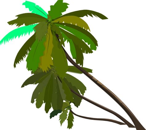 Jungle Tree Cartoon Png Clipart Full Size Clipart 5751591 Pinclipart