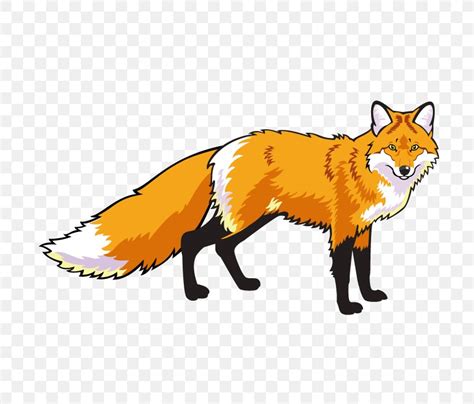 Red Fox Clip Art Png 700x700px Red Fox Art Carnivoran Dog Like