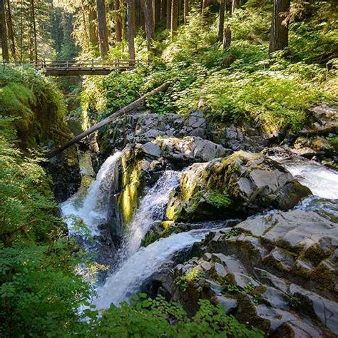 Sol Duc Falls Olympic National Park Guided Tour Black Ball Ferry Line