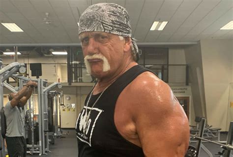 Hulk Hogan Recibirá Una Indemnización Por 110 Millones De Dólares Día A Día