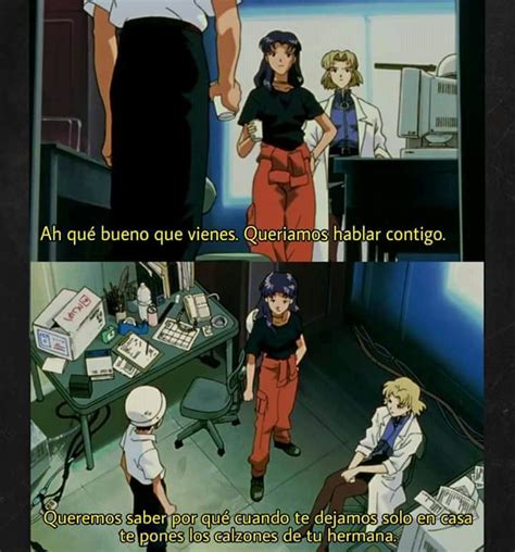 Memes De Shinji Y Misato Evangelion Miembros De Nerv Amino