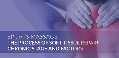 Sports Massage The Process Of Soft Tissue Repair The Chronic Stage And Factors Cms Fitness