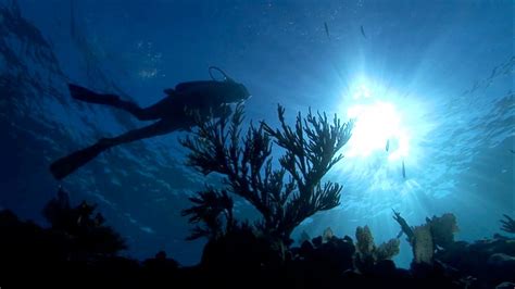 Florida Keys National Marine Sanctuary Celebrates Its 25th Anniversary