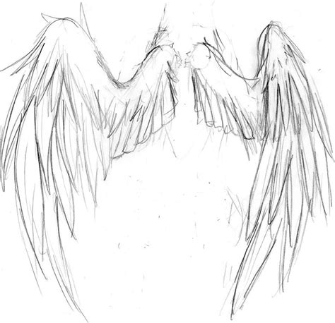 A Drawing Of An Angels Wings With One Wing Extended To The Other Side