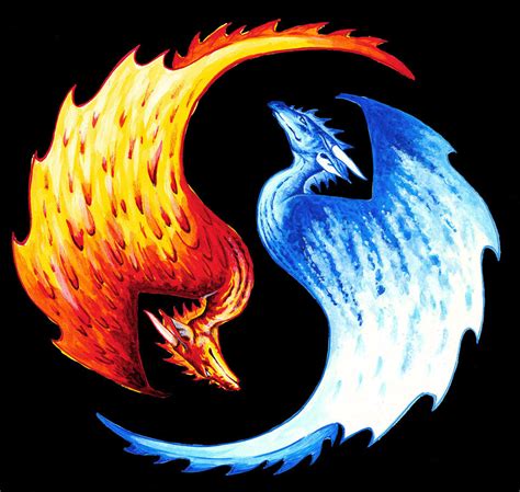 T Shirt Yin Yang Dragon Ice And Fire Dragons Dandd Rpgs Games Offworld