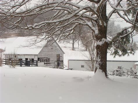 Winter Snow On The Farm Stock Photo Image Of Farm Beautiful 24812690
