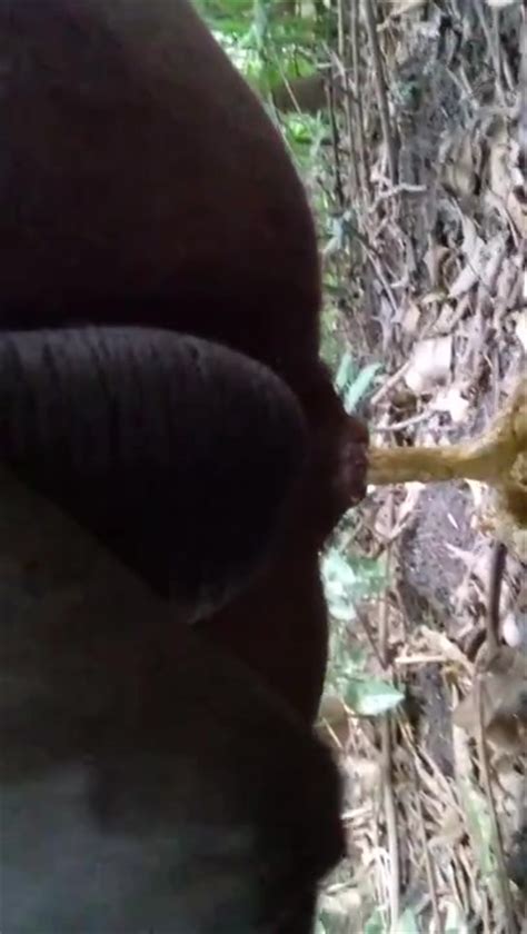 A Guy Smoking And Shitting In The Woods Gay Scat Porn At