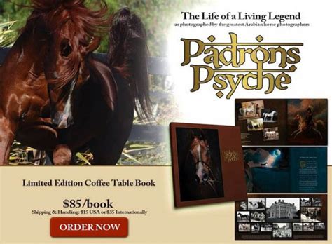 Driving horses come in many shapes and sizes. Padrons Psyche Book :: North Arabians