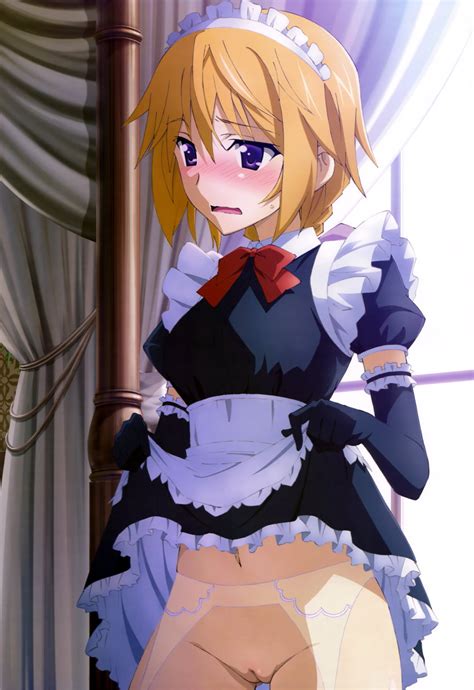 charlotte dunois infinite stratos nyantype absurdres highres nude filter third party edit