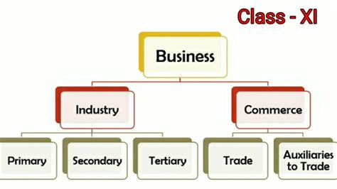 Classification Of Business Activities Chapter 2 Class Xi Business
