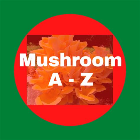 Mushroom A Z
