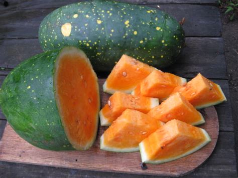 Moon And Stars Yellow Fleshed Watermelon 3 G Southern Exposure Seed
