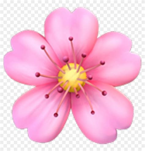 Bouquet Flower Emoji Copy And Paste Best Flower Site
