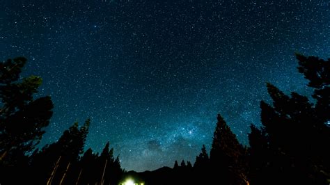 Night Wallpaper 4k Starry Sky Forest Silhouette Astronomy Nature Images