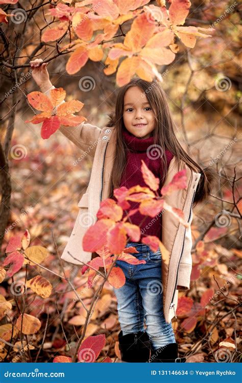 Little Girl Playing With Autumn Fallen Leaves Stock Photo Image Of