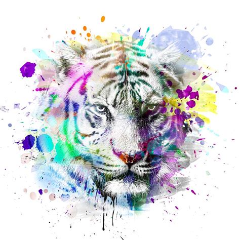 Graffiti On The Wall With Tiger Stock Illustration Illustration Of