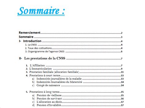 Exemple De Sommaire De Rapport De Stage