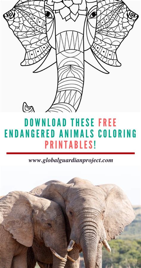 Download These Free Endangered Animals Coloring Printables