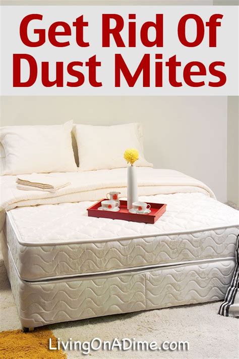 How To Get Rid Of Dust Mites Dust Mites Bed Bugs Treatment Rid Of