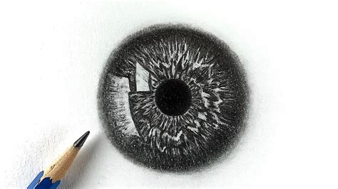 How To Draw An Eyeball Eyeball Drawing Youtube