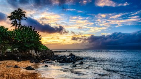 Maybe you would like to learn more about one of these? Download wallpaper 3840x2160 island, beach, palm trees 4k uhd 16:9 hd background