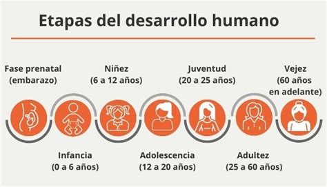 Etapas del desarrollo humano edades características