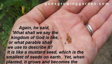 Gods Growing Garden Mustard Seeds And Pennies