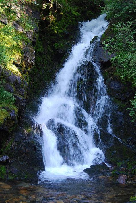 Shadow And Fern Falls Idaho Waterfalls Idaho Travel Idaho Adventure