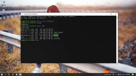 Instructions For Running Linux Commands Right On Windows