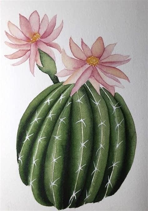 Pin By Iwona Laczny On Painted Flowers Flower Painting Cactus