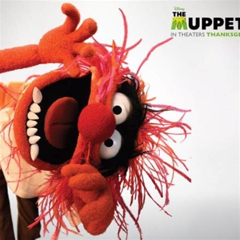 The Muppets The Muppet Show Beaker Muppets Fun Quotes Funny Funny