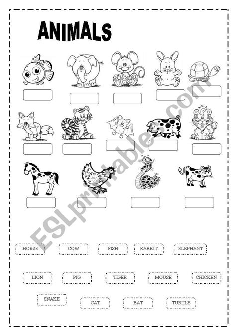 Animals Label And Classify English Esl Worksheets For Distance