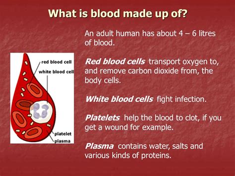Warning Signs For Blood Clots 4 Blood Clot Symptoms Not To Ignore
