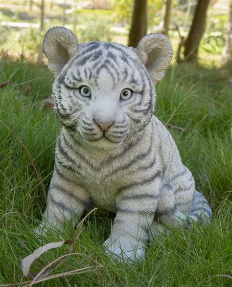 Baby Tiger Sitting White Tricias Gems