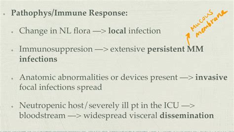 Fungal Infections Flashcards Quizlet