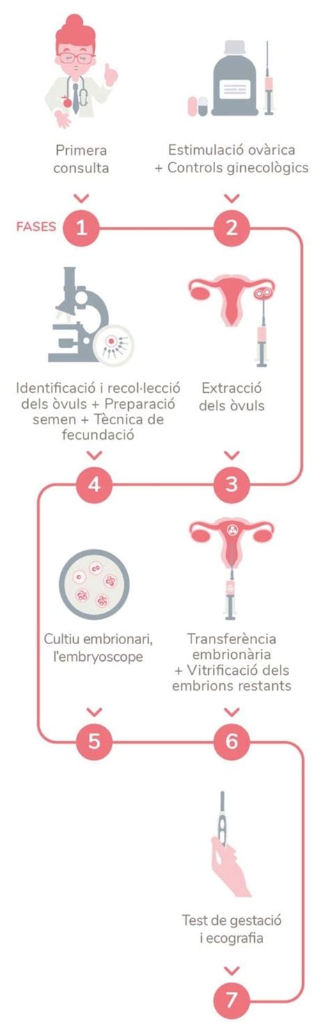 Fecundació In Vitro reproducció assistida Embriogyn