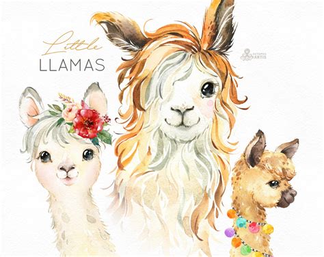 Little Llamas Watercolor Animals Clipart Alpaca Portrait Etsy