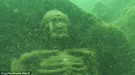 Arizona Snorkeler Finds Weekend At Bernies Skeletons In Colorado River